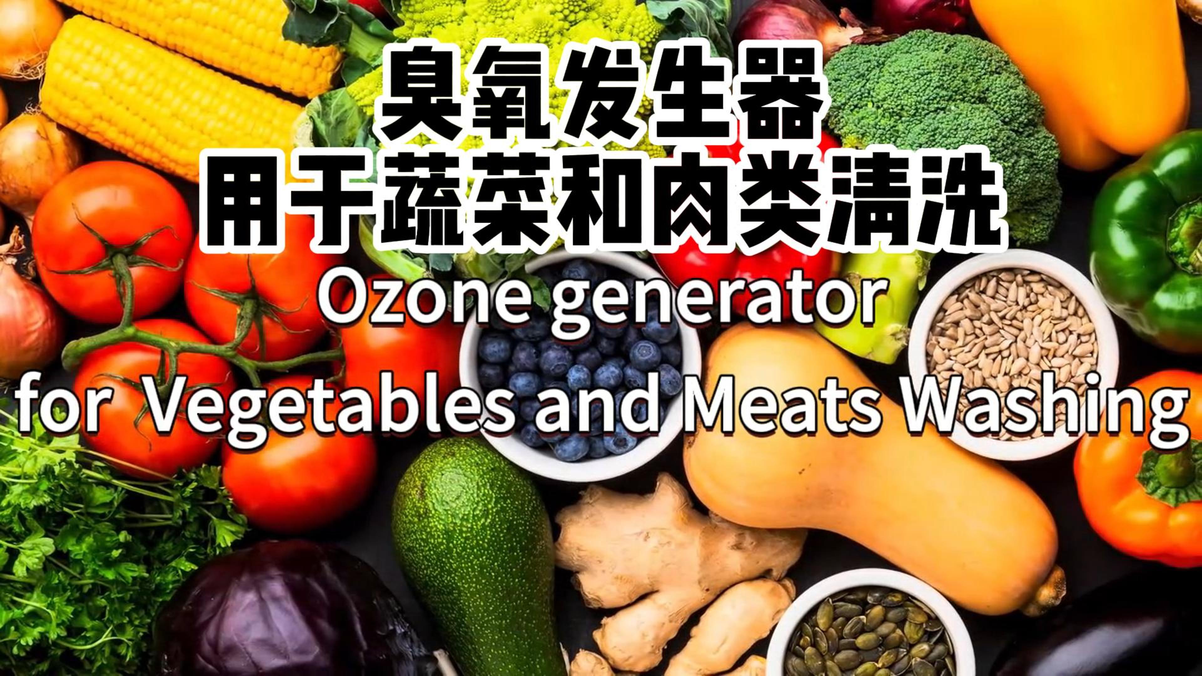 臭氧發(fā)生器在食品加工和儲(chǔ)存過程中用于蔬菜、水果和肉類的消毒